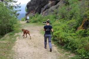 2018 Ausbildungswoche Arber